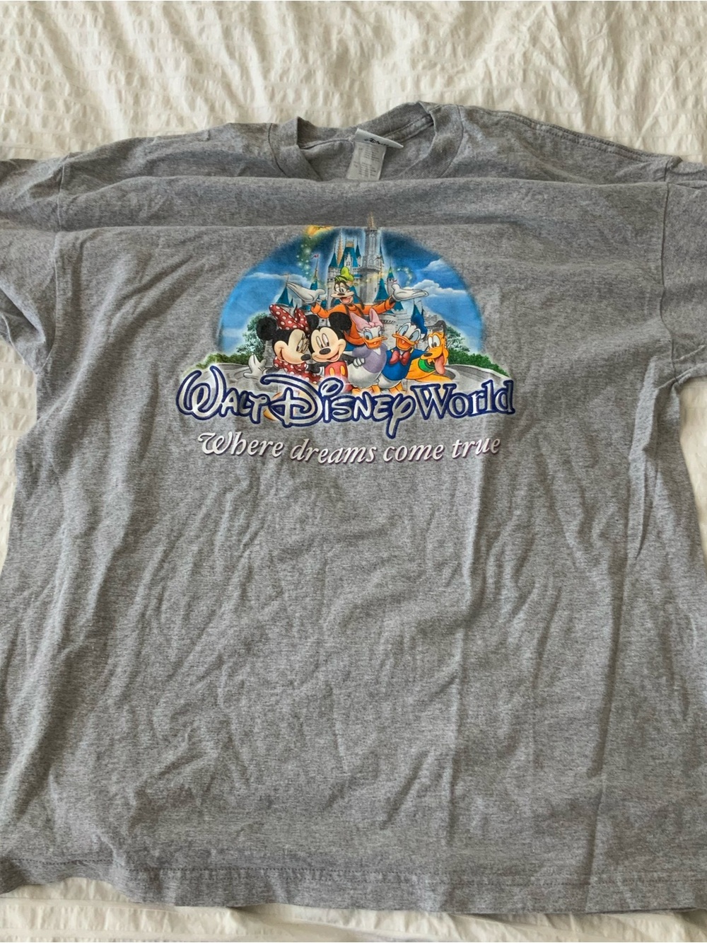 Walt Disney World Grey Mickey & Friends Tee
